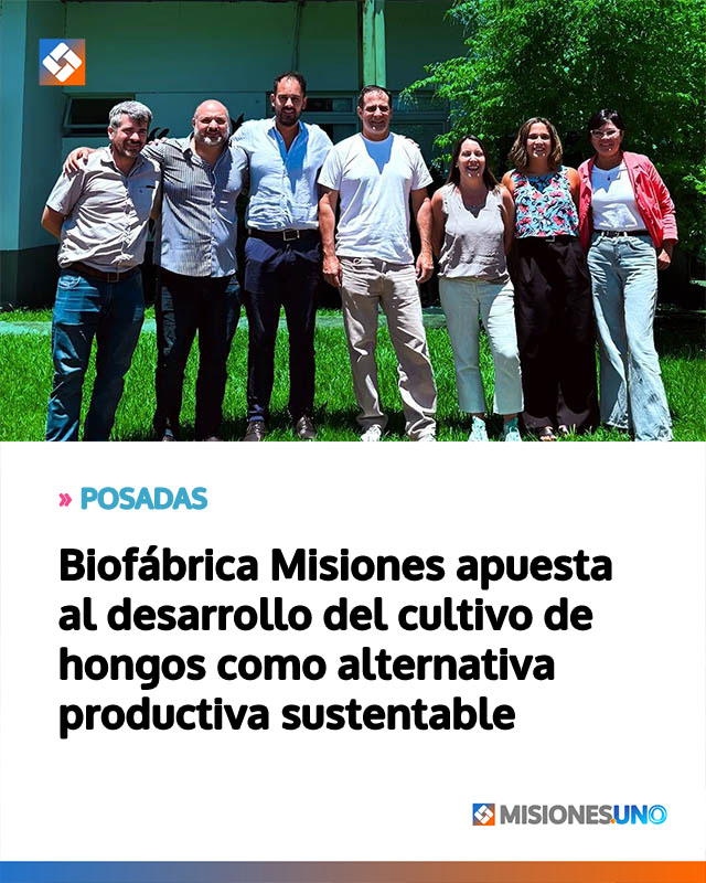 POSADAS: Biofábrica Misiones apuesta al desarrollo del cultivo de hongos como alternativa productiva sustentable