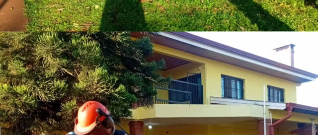 MONTECARLO: La Municipalidad refuerza tareas de limpieza y pide colaboración vecinal