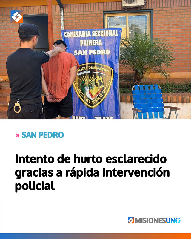 SAN PEDRO: Intento de hurto esclarecido gracias a rápida intervención policial
