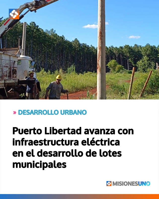 Puerto Libertad avanza con infraestructura eléctrica en el desarrollo de lotes municipales