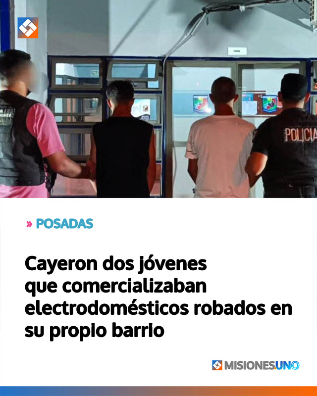 Cayeron dos jóvenes que comercializaban electrodomésticos robados en su propio barrio